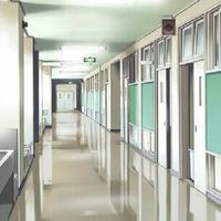 World high school🏫