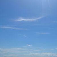 🐩🍬大学生〜成人の鬱病、悩みを抱えてる人の部屋🍀