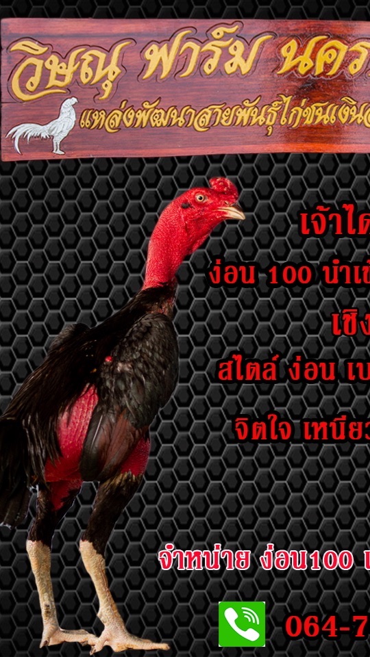 วิษณุฟาร์ม นครปฐม 064-7471942