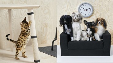 「寵」牠也寵你！ IKEA 推出系列「超實用毛孩用品」，讓牠沒藉口搗蛋啦！