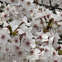 広島県自然観察指導員連絡会
