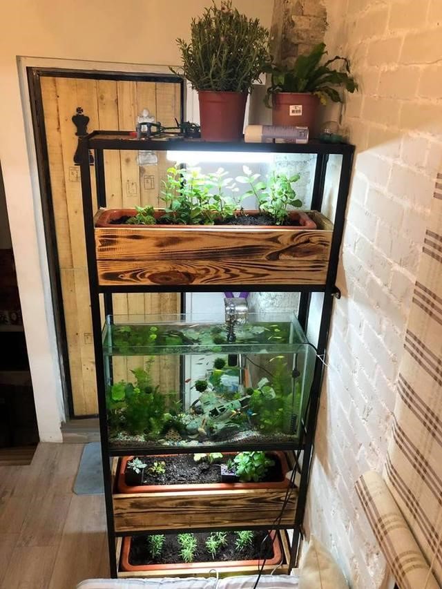 目前在物流業擔任行政主任的網友朴織稻，熱衷於DIY改