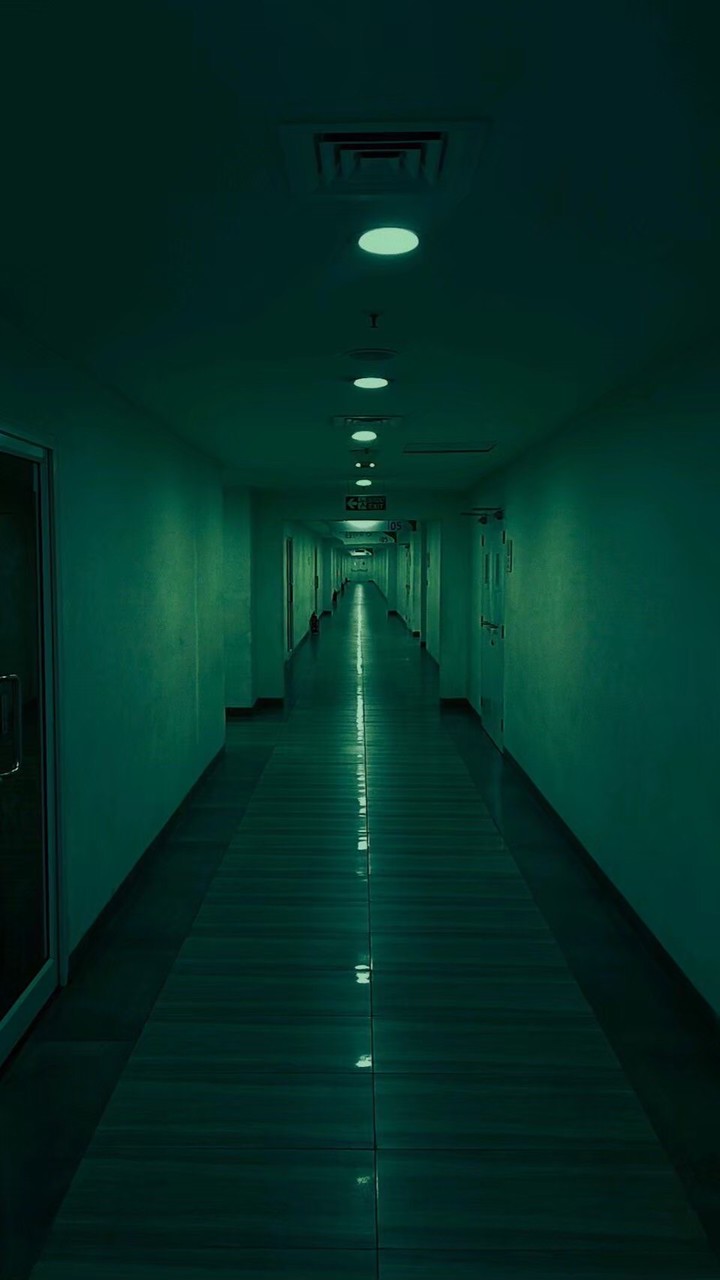無法地帯なんでもありオプ⭕️