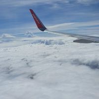 @service9
