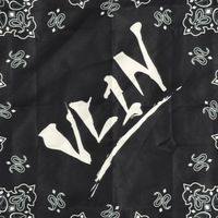 VL1N上課囉！
