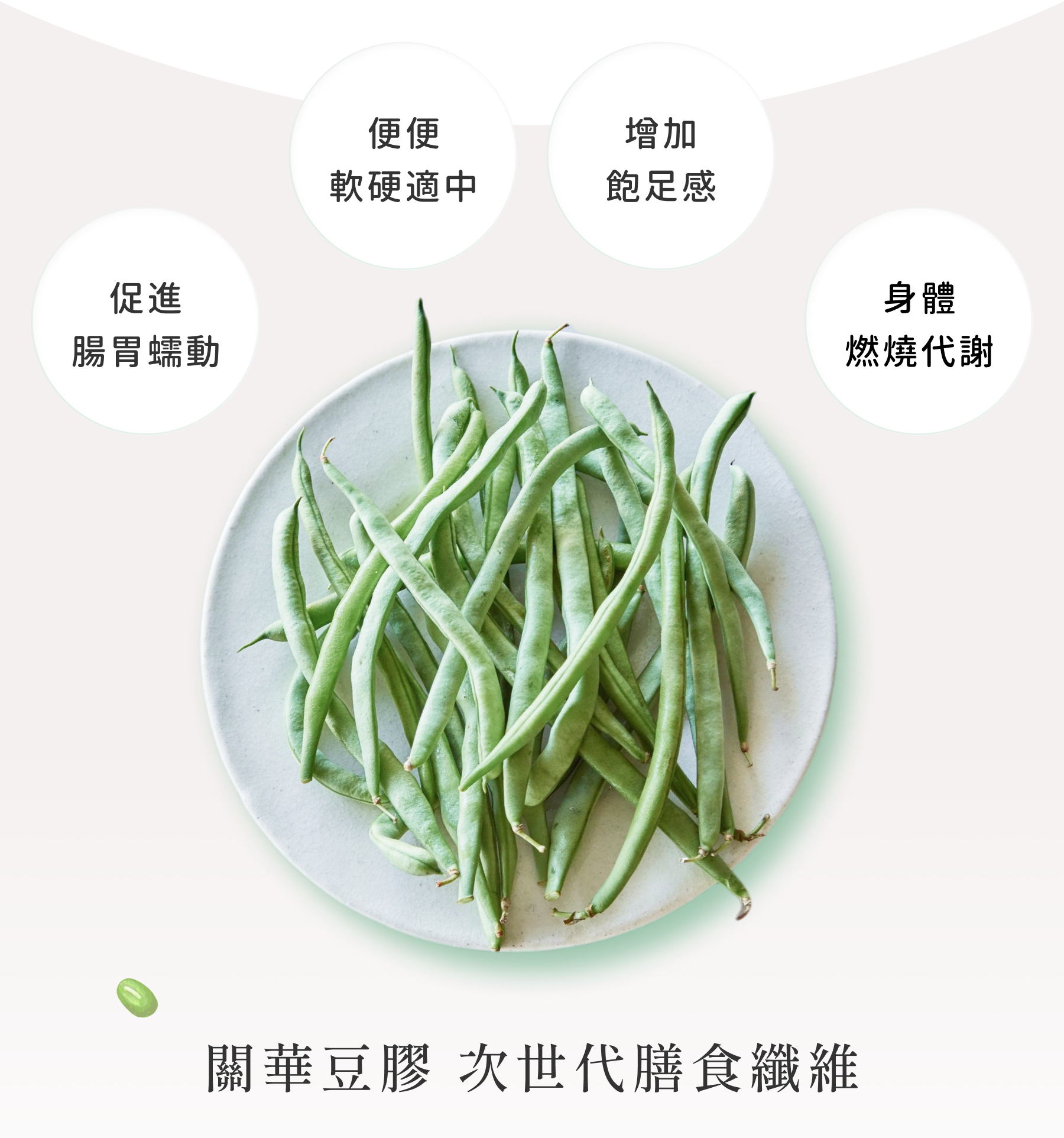 COCO FLORA 口口纖