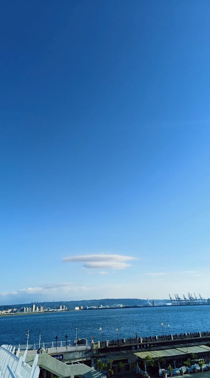 落髮救星✨台北科技育髮