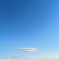 落髮救星✨台北科技育髮
