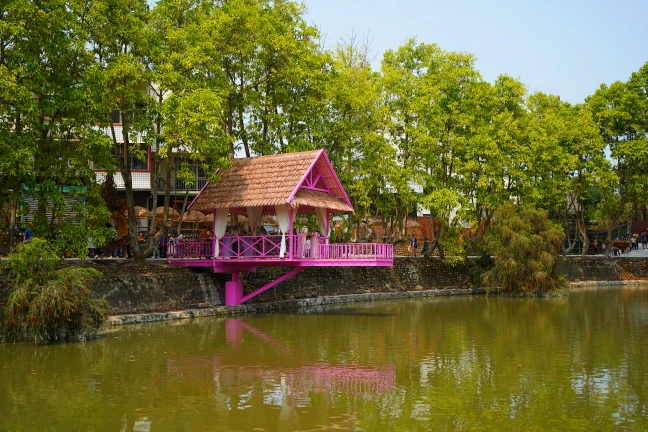 中部景點,斗六景點,斗六花旗木,近水樓台,近水樓台湖畔森林咖啡,近水樓台湖畔森林咖啡交通資訊,近水樓台湖畔森林咖啡停車場,近水樓台湖畔森林咖啡停車場花旗木,近水樓台湖畔森林咖啡門票,雲林IG打卡點,雲林景點,雲林網美景點,雲林花旗木近水樓台湖畔森林咖啡花旗木