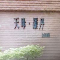 天母羅丹