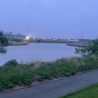 KNG大会