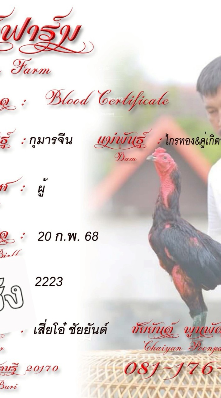 เจ้ากุมารทอง