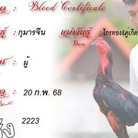 เจ้ากุมารทอง