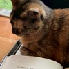 愛看書的女生們👭
