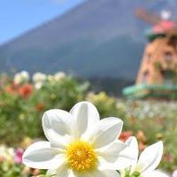 ✨精神障害など抱えてるママへ😌