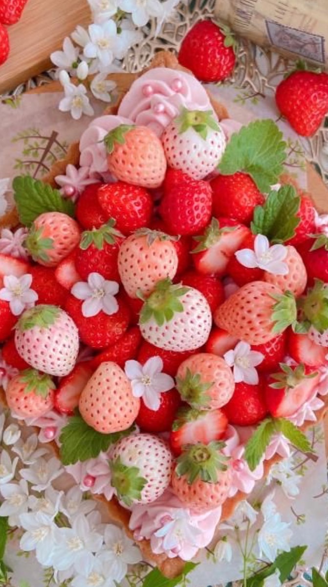 🍓 Alpha Berry🍓BO