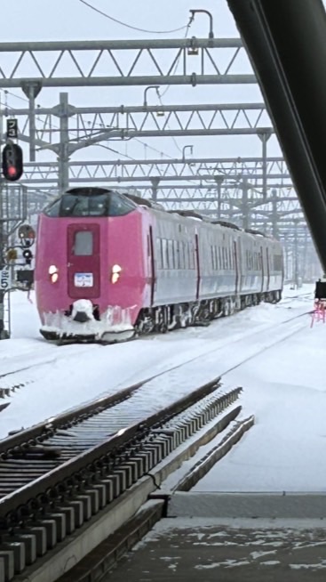 湾岸電気鉄道の団体企画
