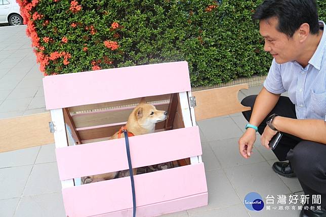廢棄課桌椅設計加工學生打造校犬的窩 台灣好新聞 Line Today
