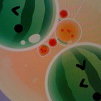 スイカゲームぷらねっと     さきゅしめじオプ