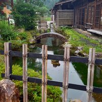 歌オプ【～癒しの里～】