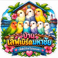 บ้านเลิฟเบิร์ดมหาชัย