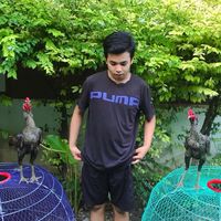 ไก่เยียร์🐓 S.PALEEFARM💎