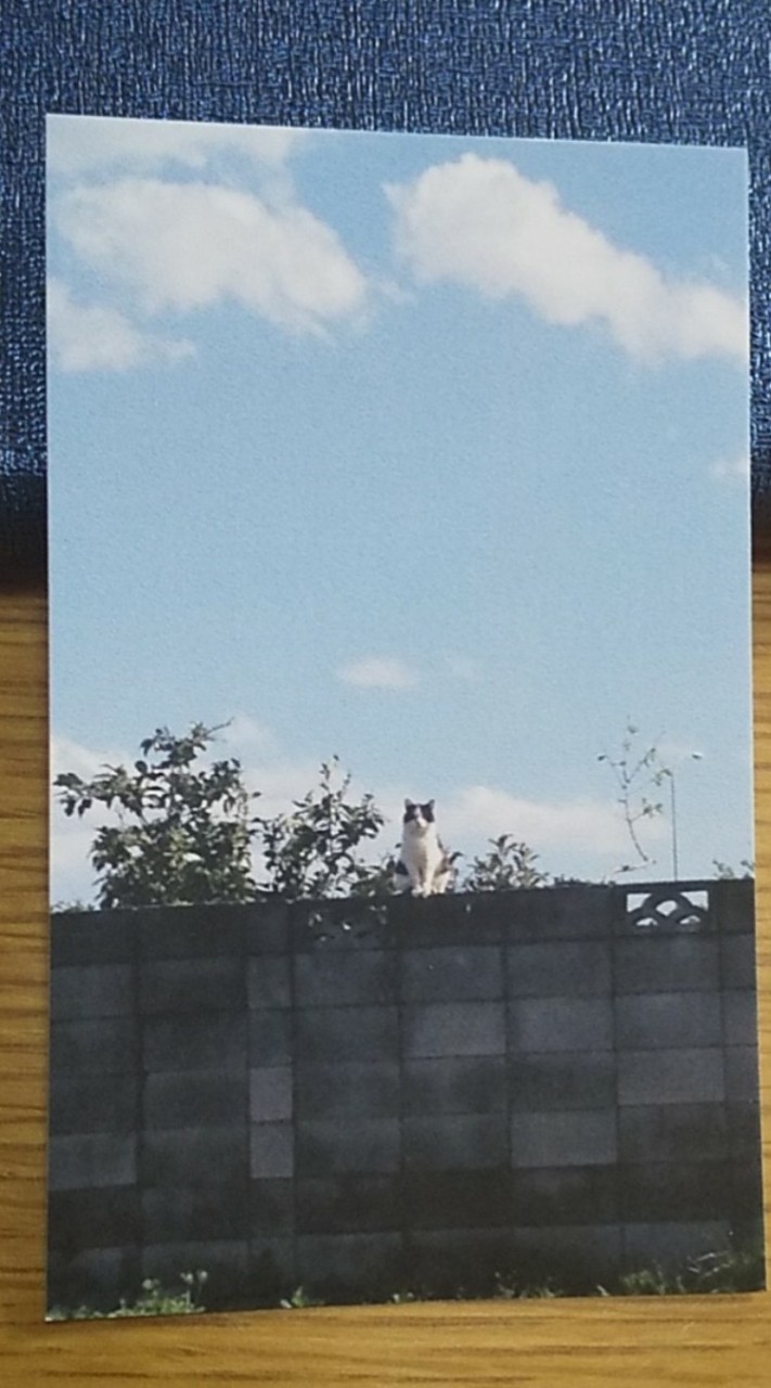 未成年、18 才までの相談部屋②