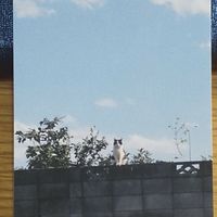 未成年、18 才までの相談部屋②