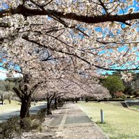 みんなでゲーム、寝落ち、雑談する部屋