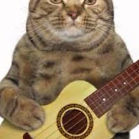 ねこ。's BAR〜雑談ときどきギター弾く〜