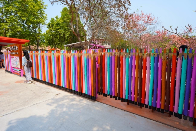 中部景點,斗六景點,斗六花旗木,近水樓台,近水樓台湖畔森林咖啡,近水樓台湖畔森林咖啡交通資訊,近水樓台湖畔森林咖啡停車場,近水樓台湖畔森林咖啡停車場花旗木,近水樓台湖畔森林咖啡門票,雲林IG打卡點,雲林景點,雲林網美景點,雲林花旗木近水樓台湖畔森林咖啡花旗木