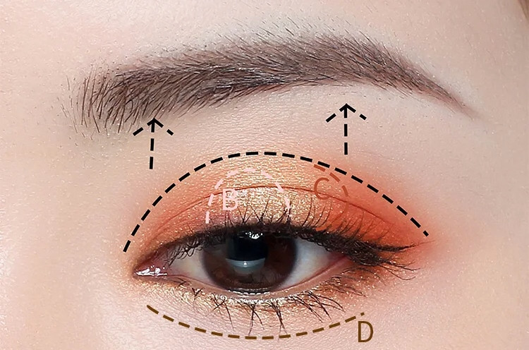 腫泡眼眼妝重點