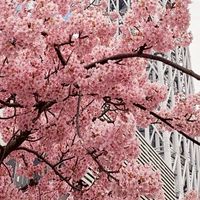 🌸電通大生協学生委員会公式オープンチャット