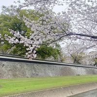 跟著Nene到處買 不定期免稅購物