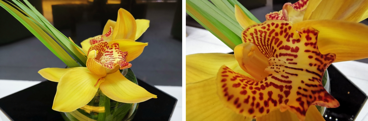 倫敦街頭實拍，HUAWEI Mate 20 Pro 矩陣式排列三鏡頭之超廣角、長焦鏡頭使用心得分享