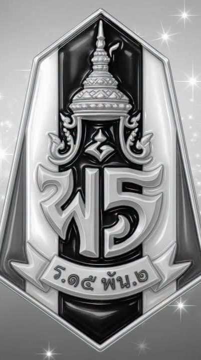 เครือข่ายป้องกันภัยยาเสพติด ร.15 พัน.2