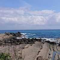 東部海岸富岡地質公園-小野柳自然教室