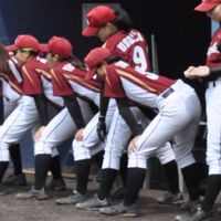 上智大学女子野球部MAMUES