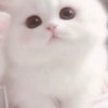 莞家(つД`)ノ