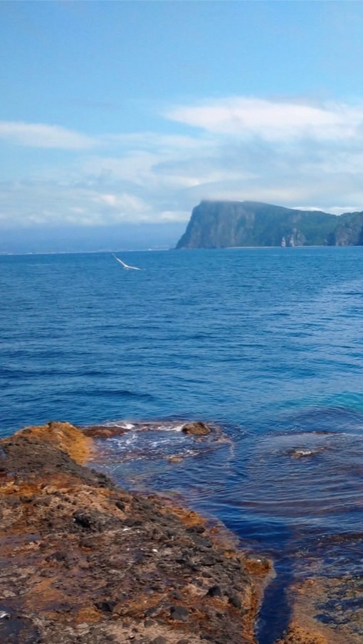 北海道釣り情報