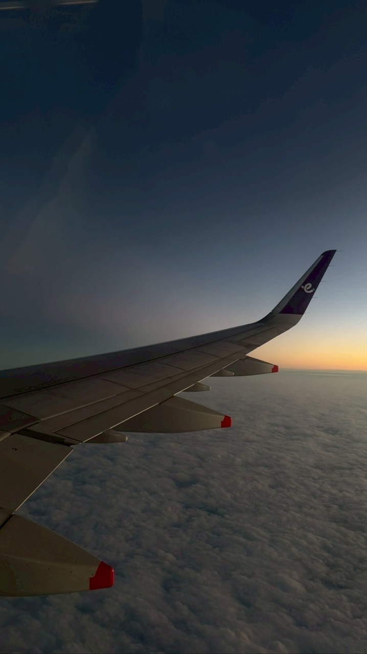 🇯🇵Japan Shop 2/1-2/6東京連線代購