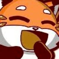 Fox 🦊 coins
