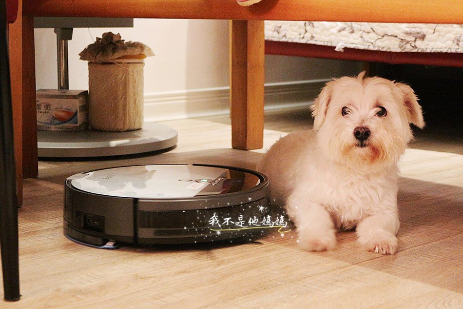 ILIFE,掃地機器人,掃地機器人推薦, ILIFE V8S, ILIFE旗艦機,小米掃地機器人,乾濕兩用掃地機器人,掃拖機器人,LG掃地機器人