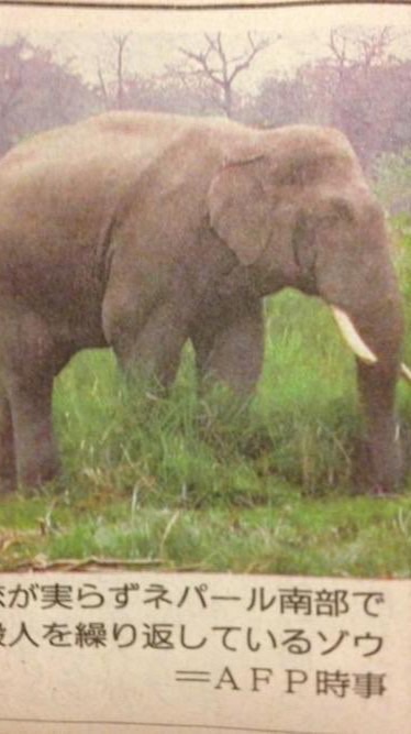 ブルーロックなりきりr((殴