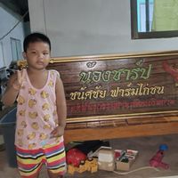 น้องชาร์ป ชนัศชัยฟาร์มไก่ชน