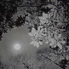 001-精神病院