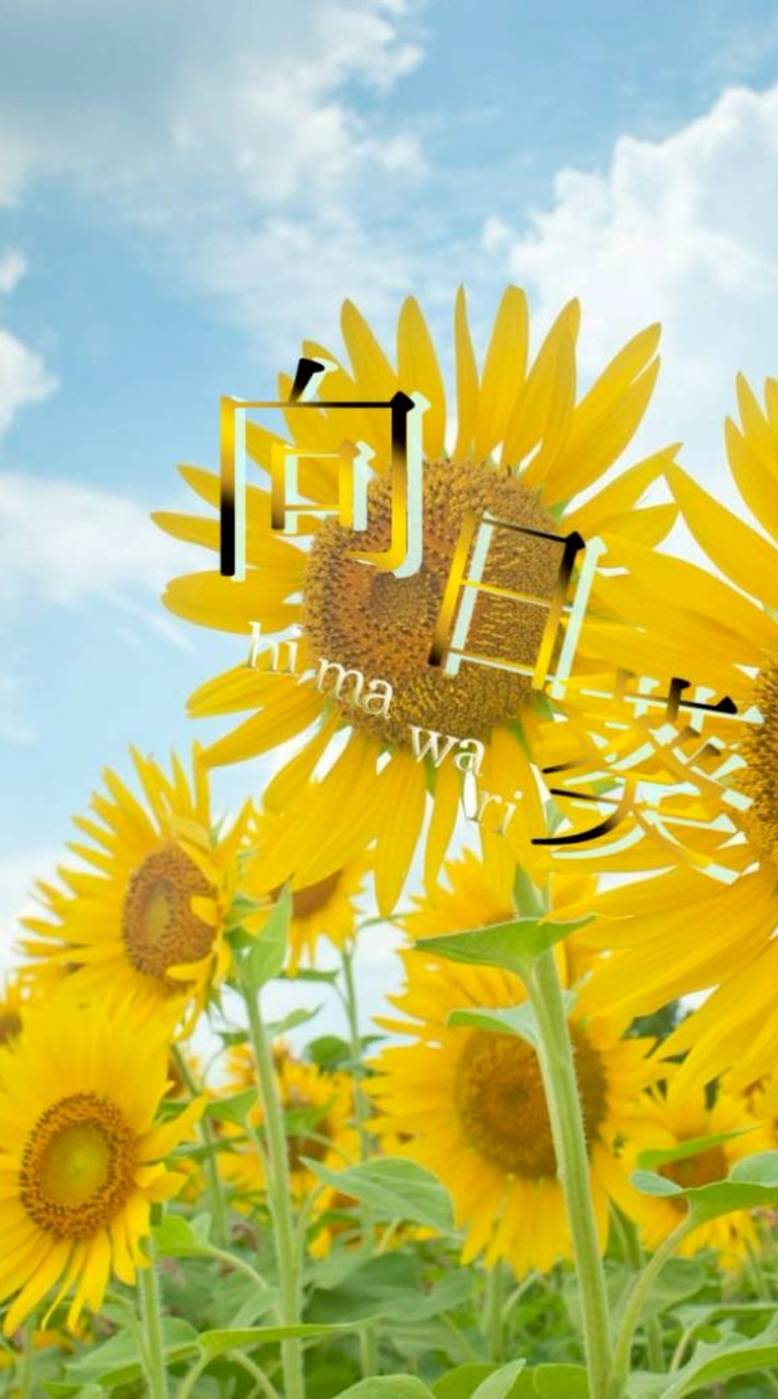 どっかのオプ