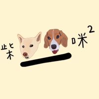 柴一咪咪手工寵物零食