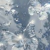 𓆩 清 風 明 月 𓆪