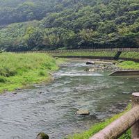 釣魚釣點分享交流